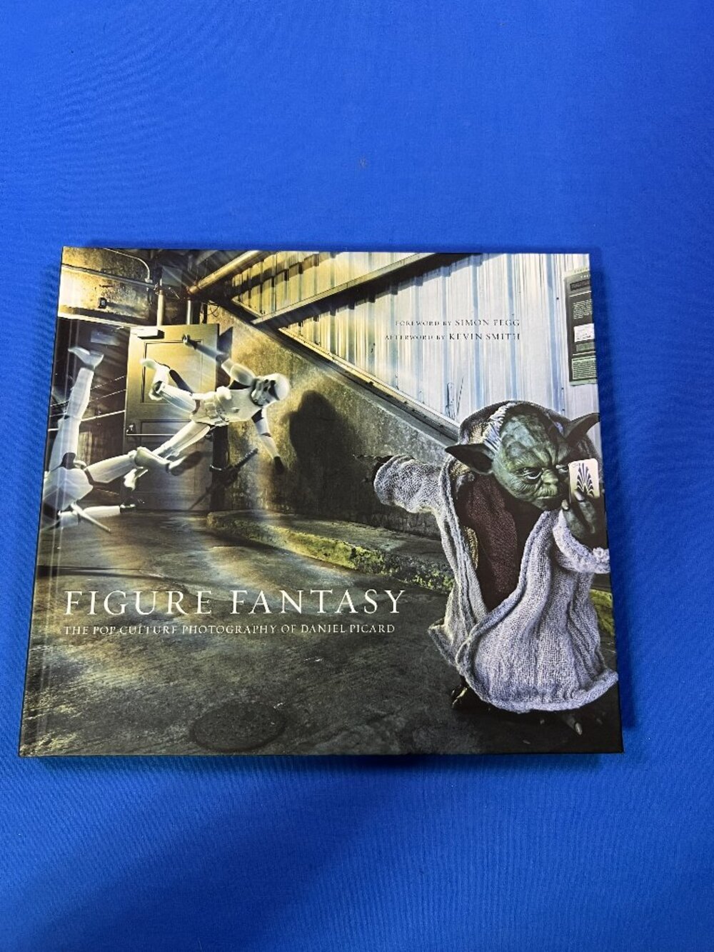 Loot Crate Figure Fantasy Pop Culture Photography Book by Daniel Picard